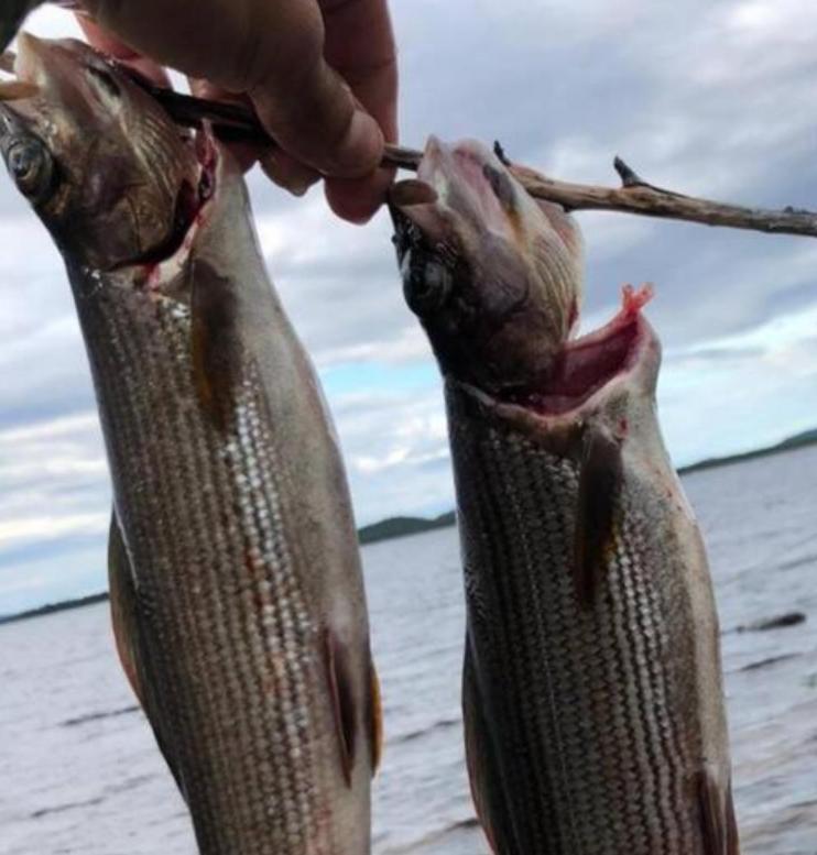 Villa Paatari, Inari Esterno foto